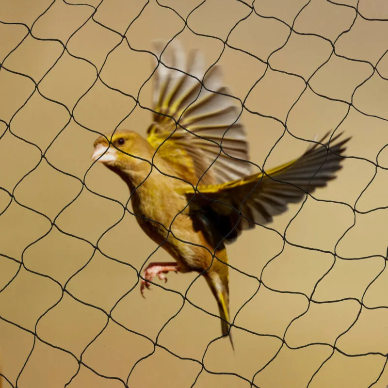 Fishing Equipment Net - 30*15M Bird Netting Agricultural Anti Bird