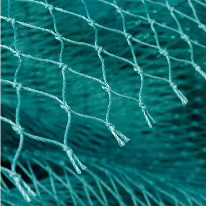 Solid Anti Bird Netting Garden - Fishing Equipment Net 评论和价格