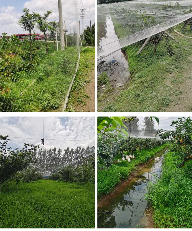 Heavy Duty Nylon Netting, Knot - Fishing Equipment Net 评论和价格
