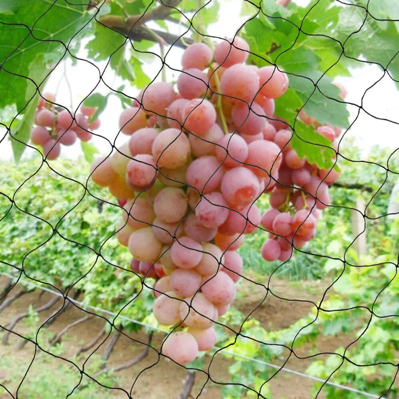 30*15M Bird Netting Agricultur - Fishing Equipment Net 评论和价格